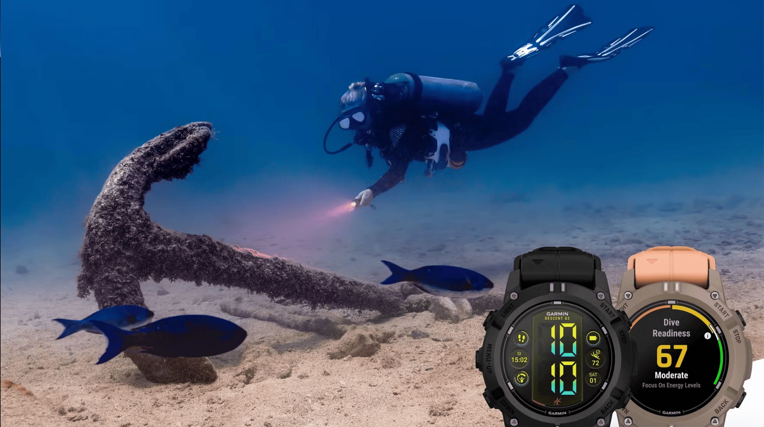 garmin (11)