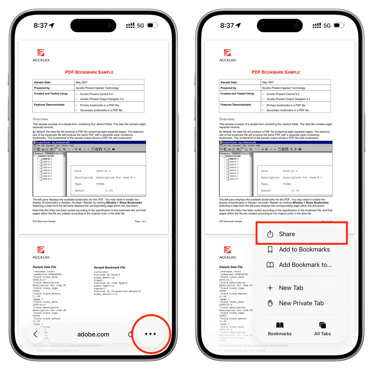 photo_2_2026-02-23_14-37-19