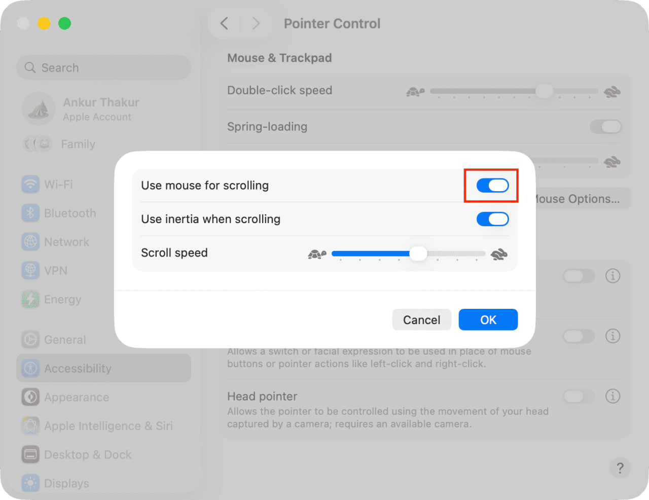 photo_2_2026-02-23_15-29-19