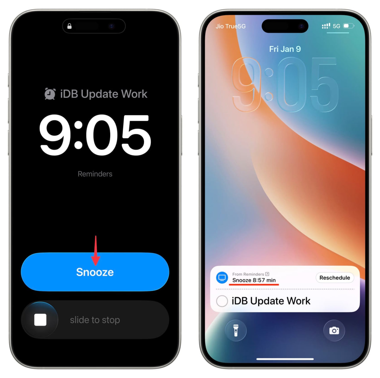 photo_3_2026-02-04_15-37-19