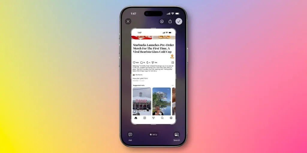 photo_3_2026-02-12_14-25-44