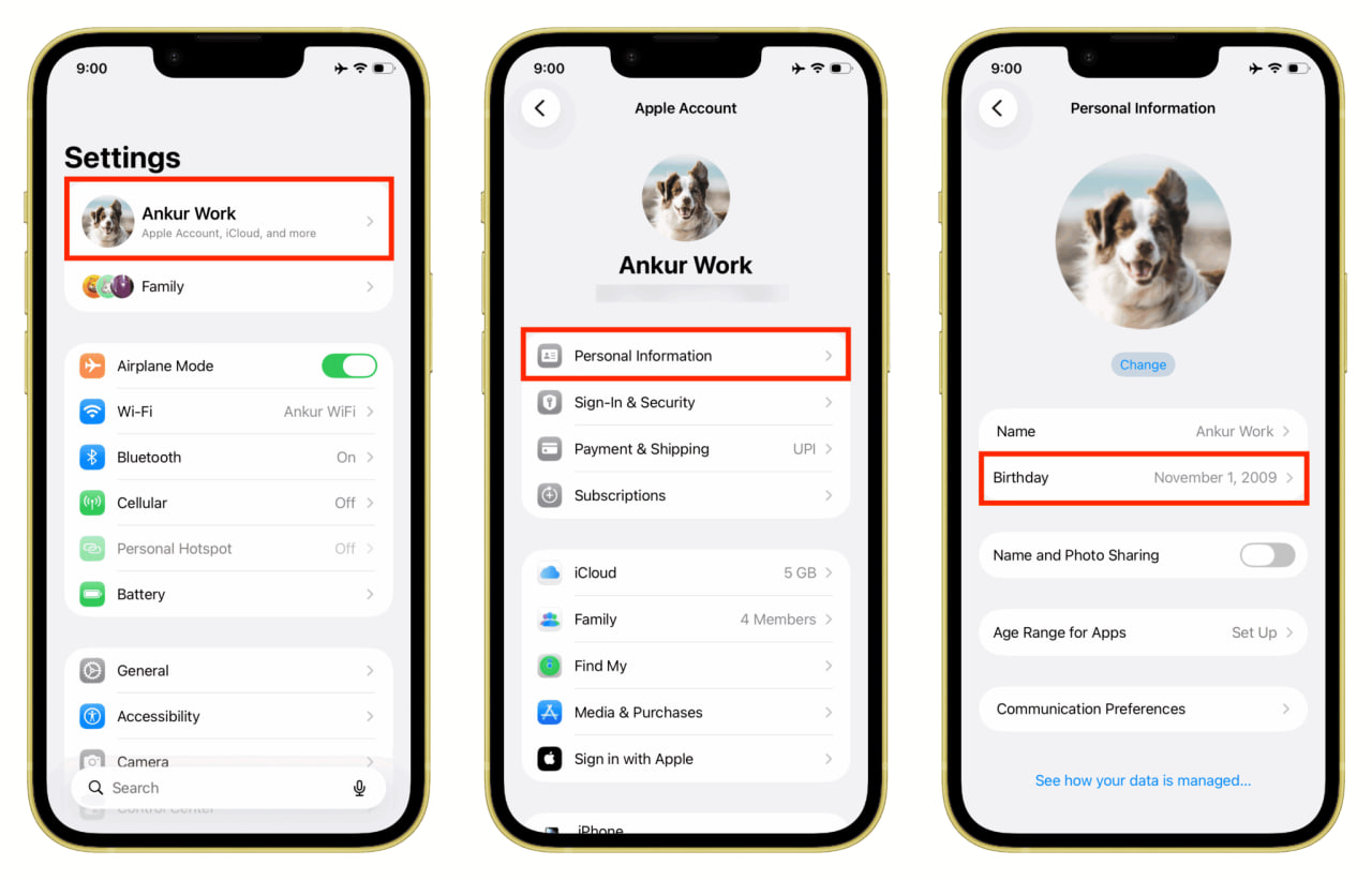 photo_3_2026-02-15_18-27-17