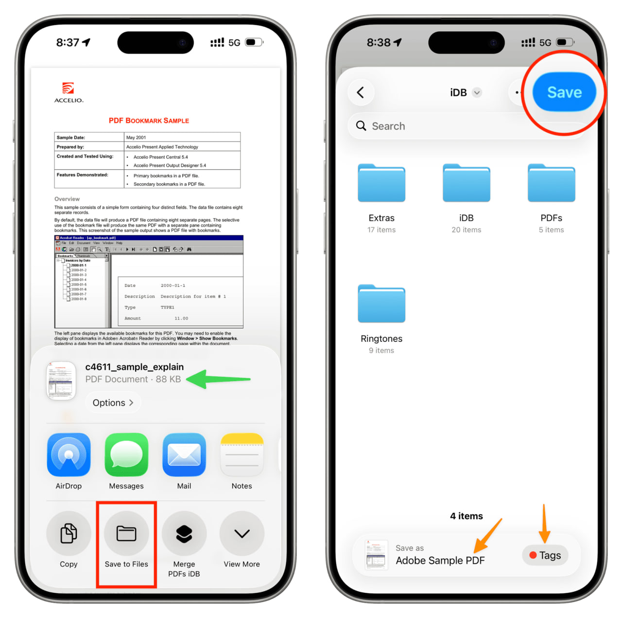 photo_3_2026-02-23_14-37-19