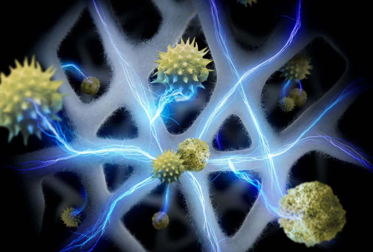 photo_3_2026-03-20_22-38-56