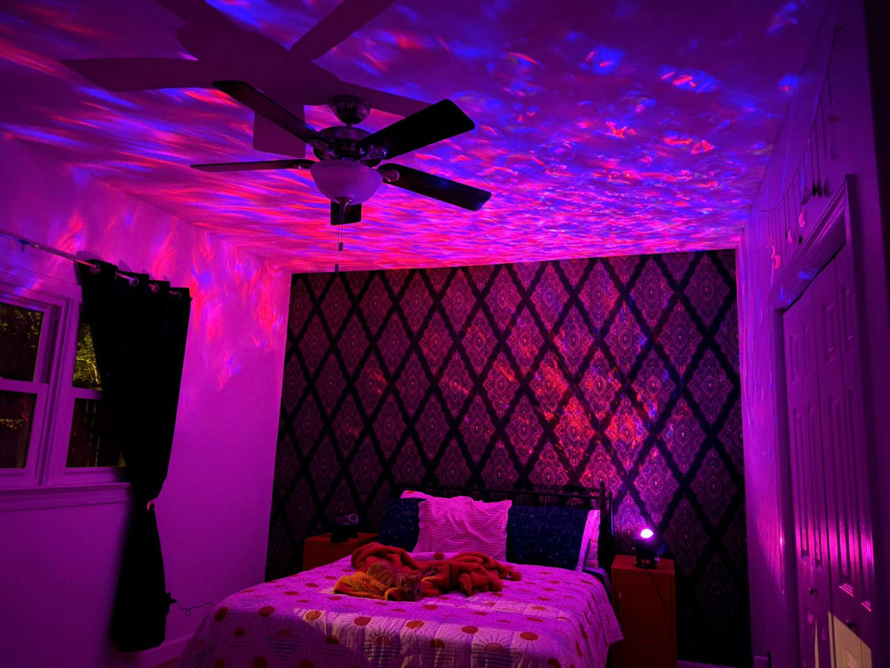 photo_4_2025-12-17_21-42-29