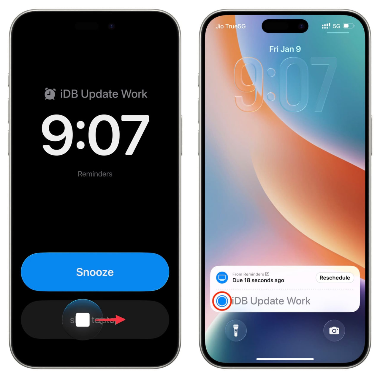 photo_4_2026-02-04_15-37-19