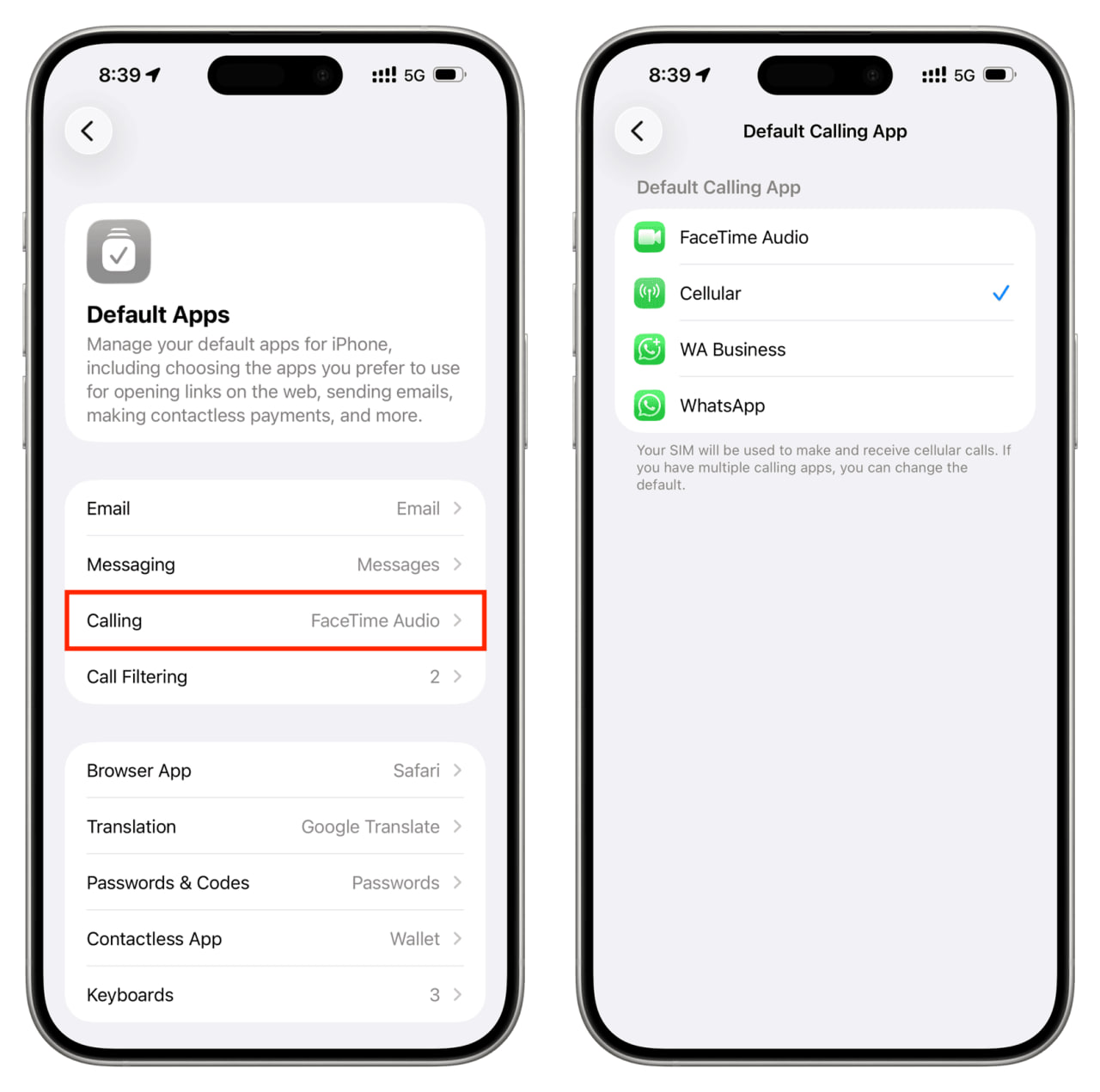 photo_4_2026-02-08_15-20-30