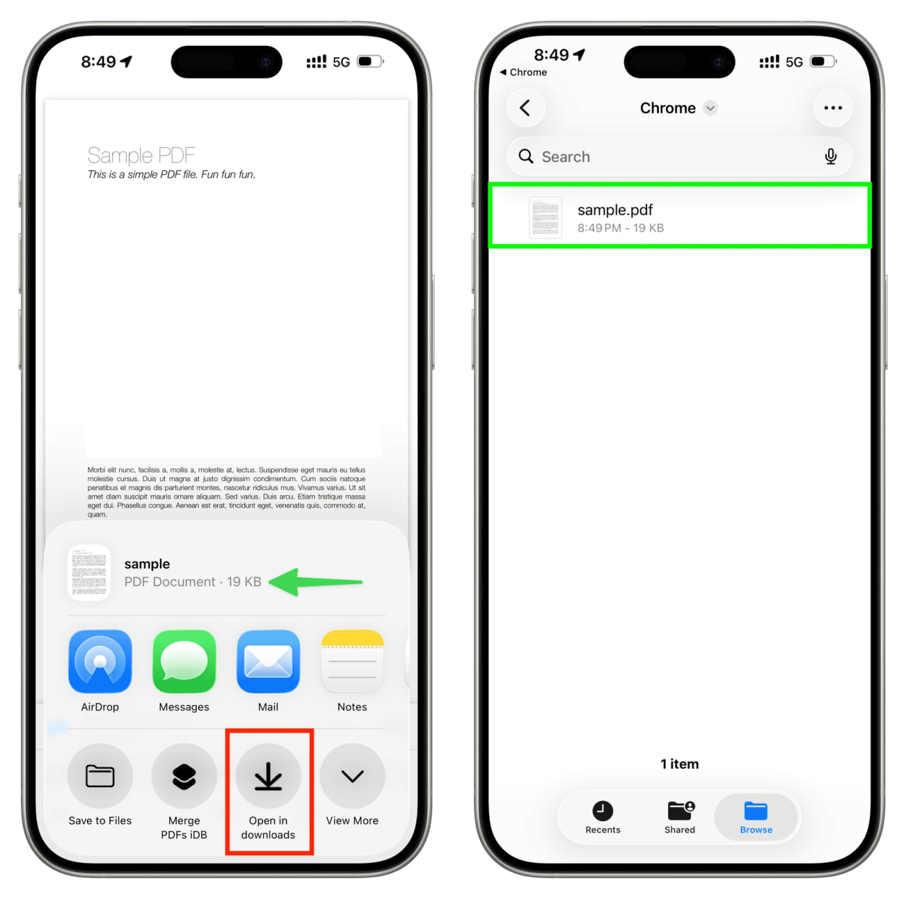 photo_6_2026-02-23_14-37-19