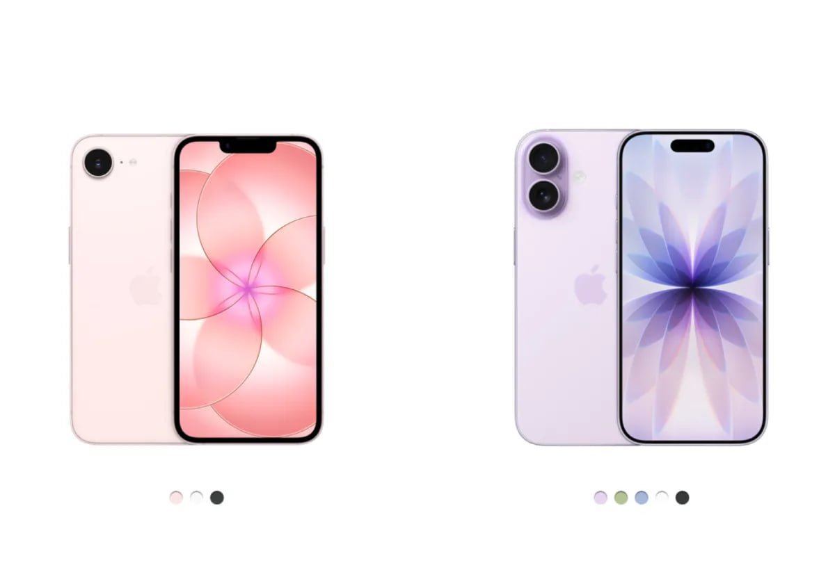 photo_6_2026-03-17_10-55-17