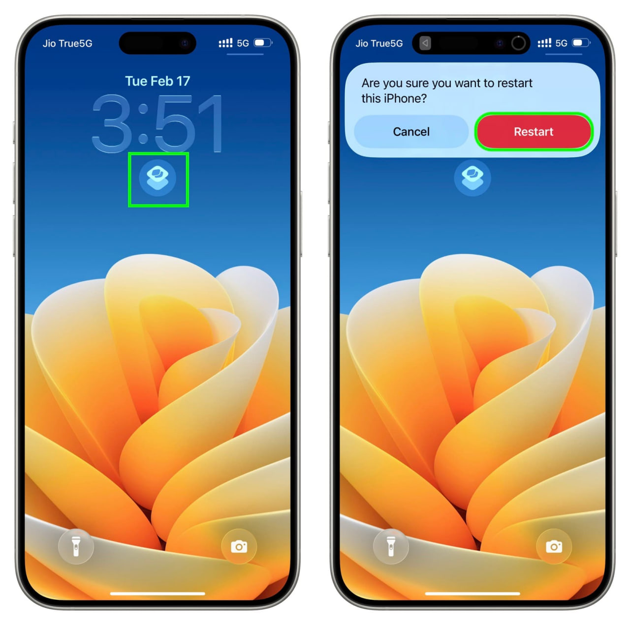 photo_7_2026-02-19_16-03-03